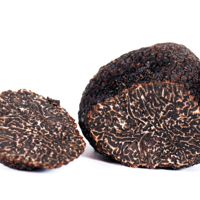 Perigord Black Truffles